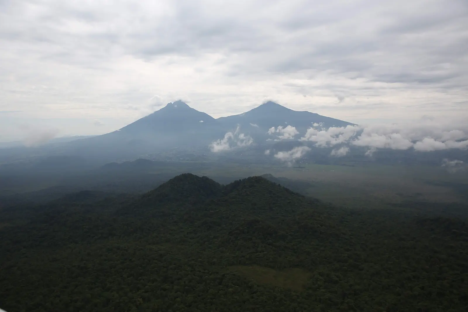 Mount Karisimbi and Mount Mikeno rising above the Virunga forest