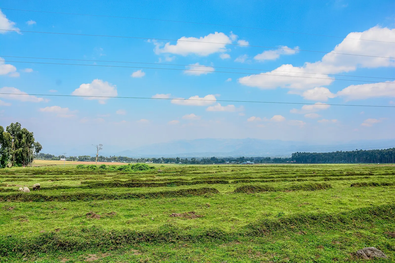 Open farmland and sky around Kinigi, the gateway village to Volcanoes National Park