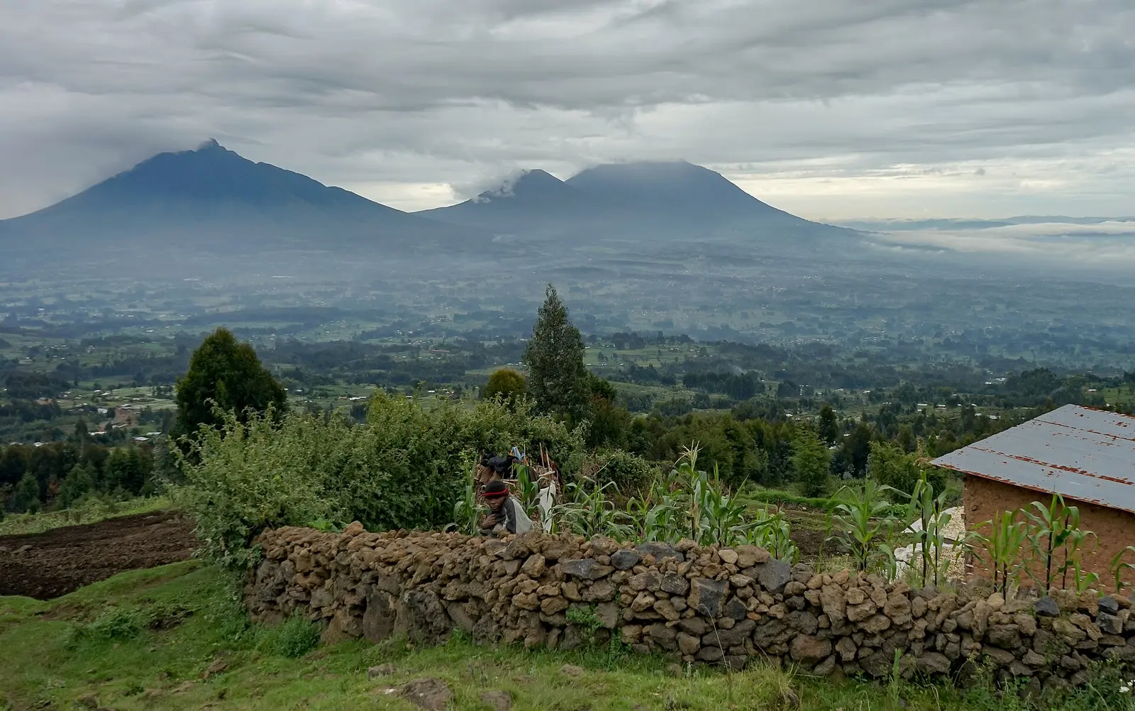Volcano peaks above village stone walls at the edge of Volcanoes National Park